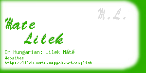 mate lilek business card